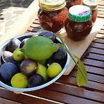 I Ginepri Bed & Breakfast