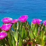 Bed & Breakfast I Ginepri