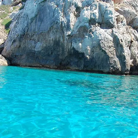 I Ginepri