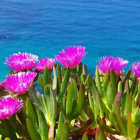 Bed & Breakfast I Ginepri